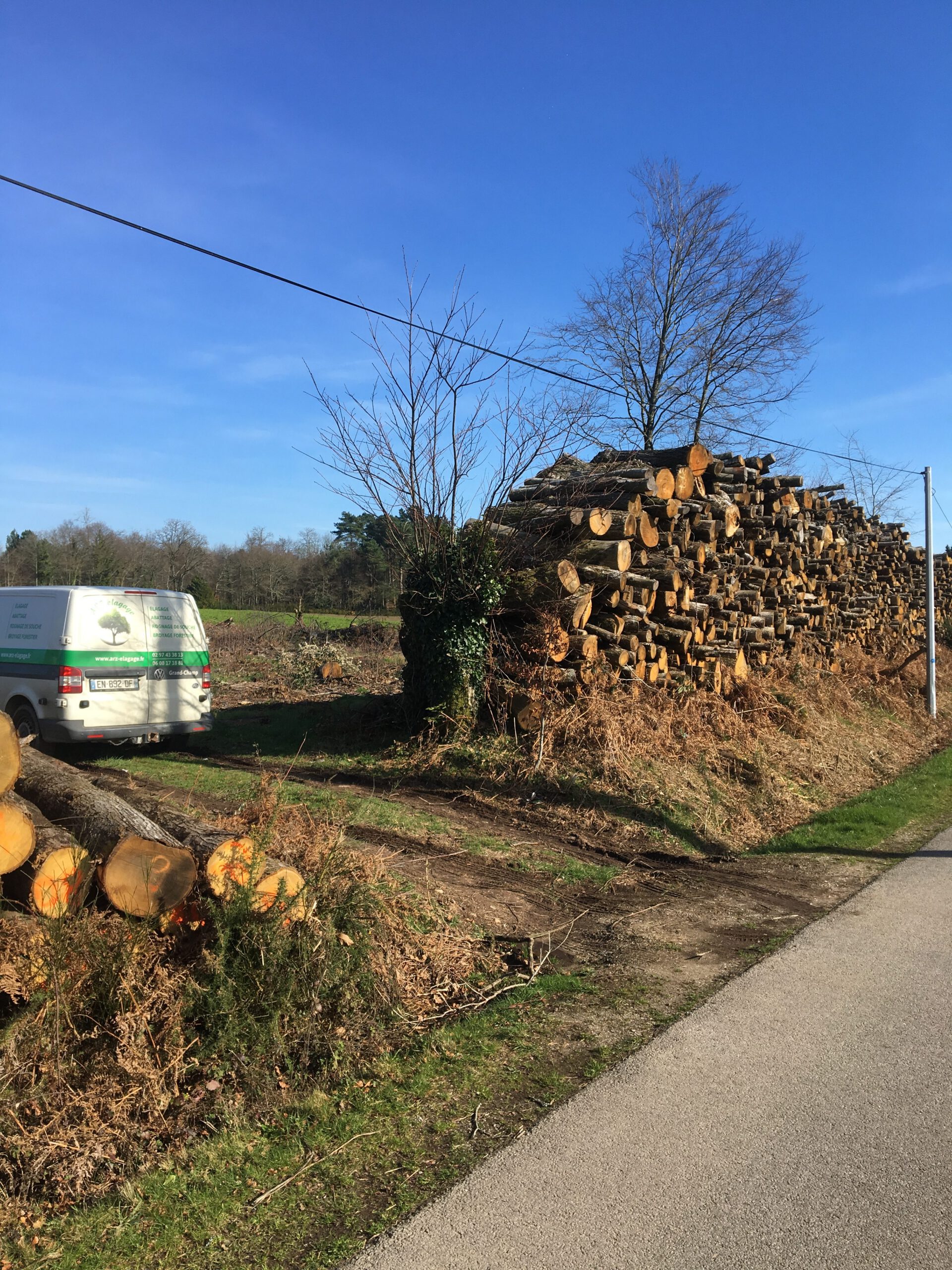 débardage bois de chauffage Morbihan